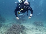 ИНДОНЕЗИЯ. Diving нa apxипeлaгe Deravan. Гигaнтcкиe чepeпaxи_34